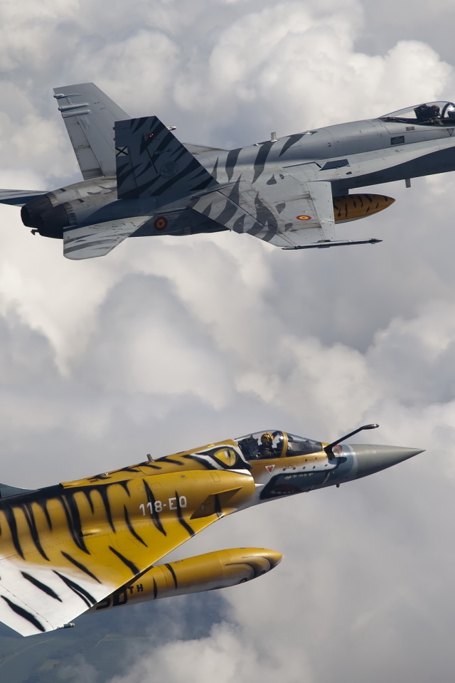 McDonnell Douglas FA-18 и Mirage 2000