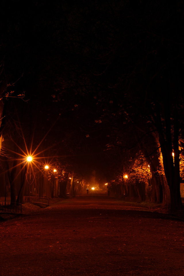 Аллея в огнях