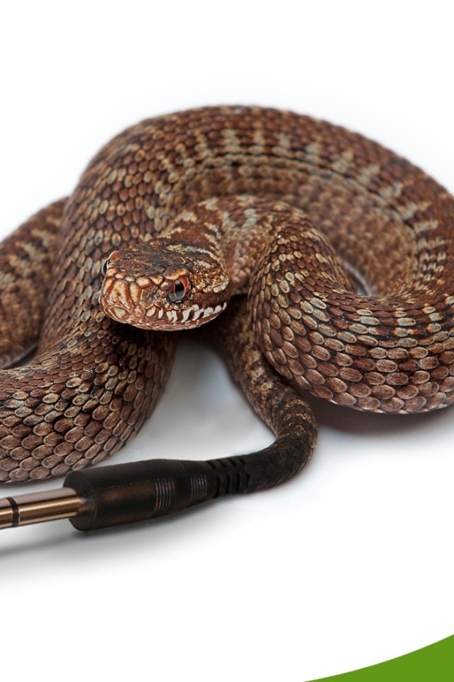 Компьютерная змейка