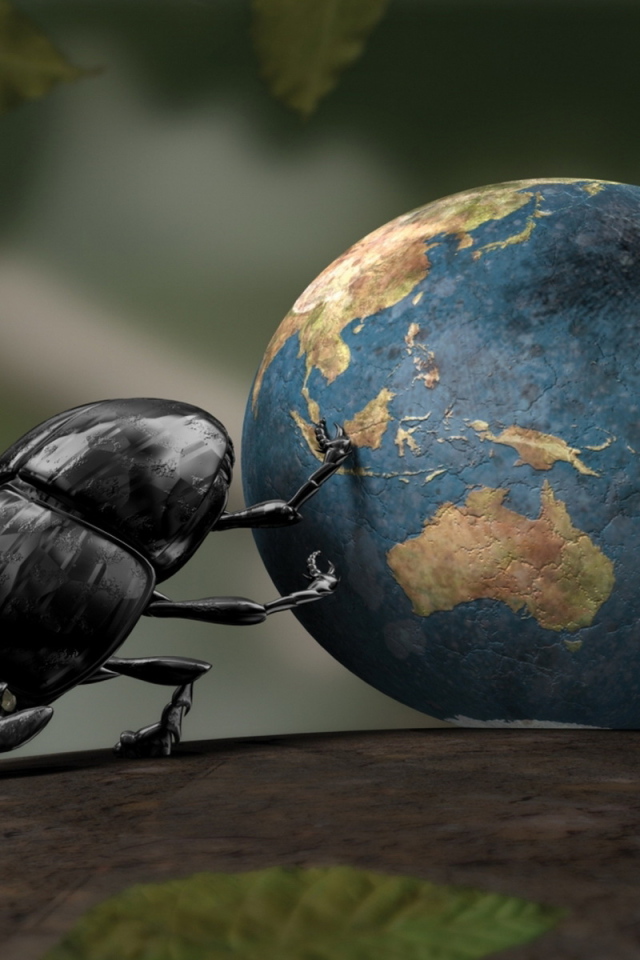 Жук навозник