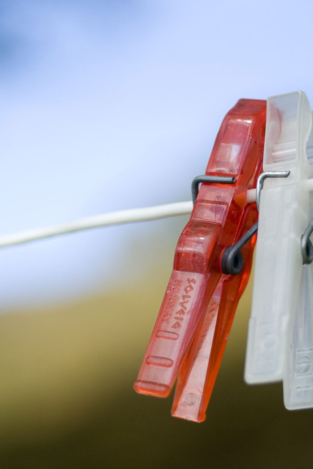 Любовь прищепки