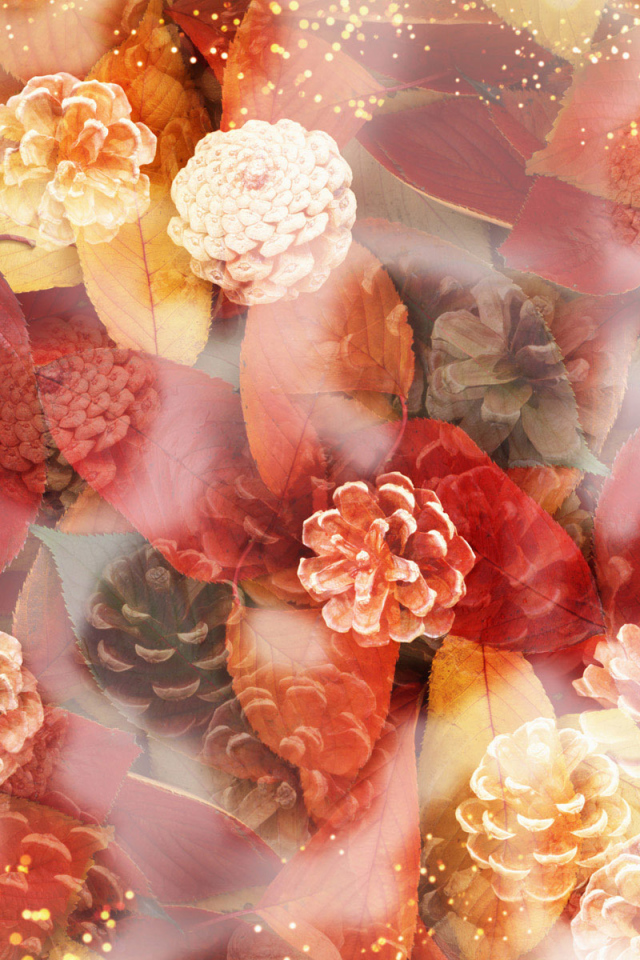 Шишки и листья