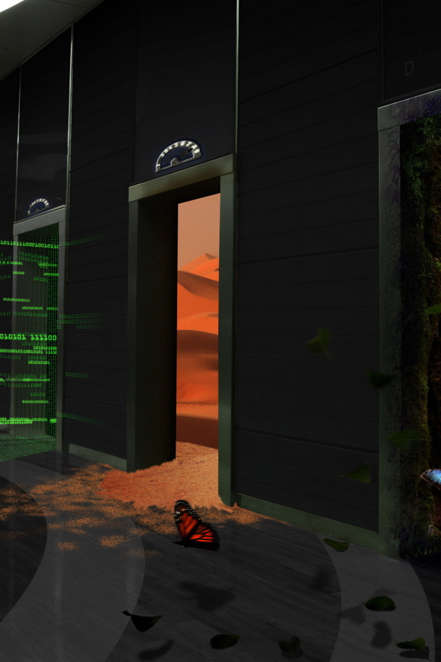 Двери в разные миры