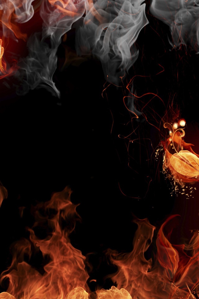 Огненные цветы