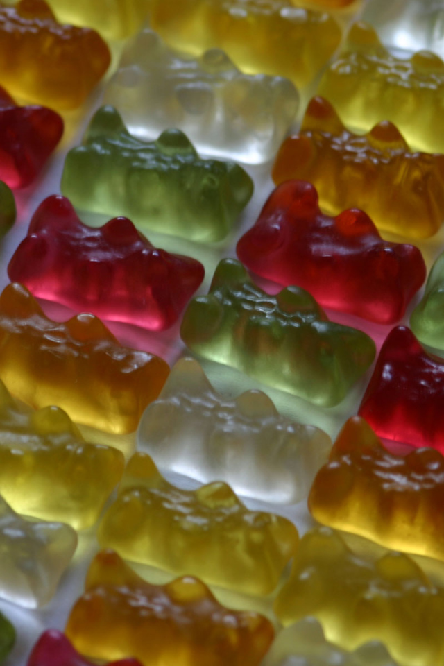 Жевательные медведи