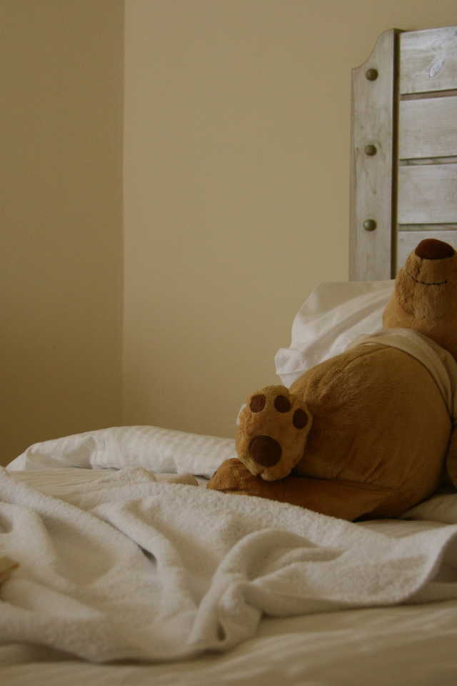 Мишка отдыхает