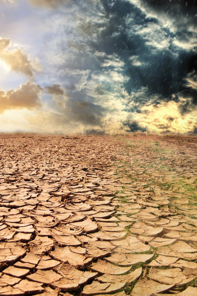 Сезон засухи  и сезон дождей