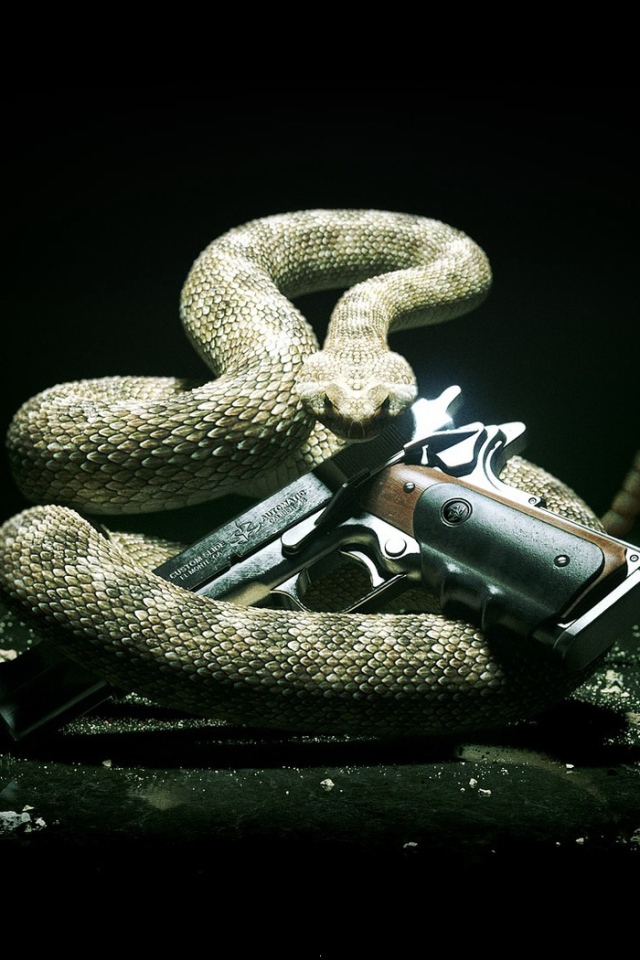 Змея и пистолет