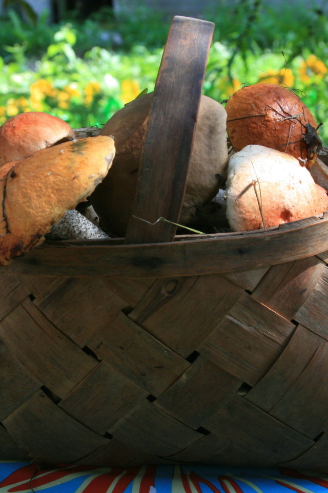 Корзина с грибами