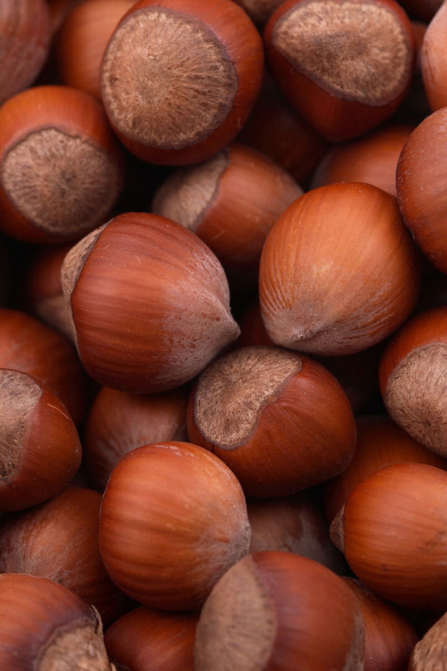 Лесные орехи