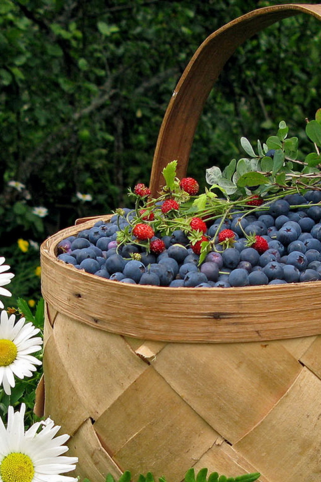 Корзина черники