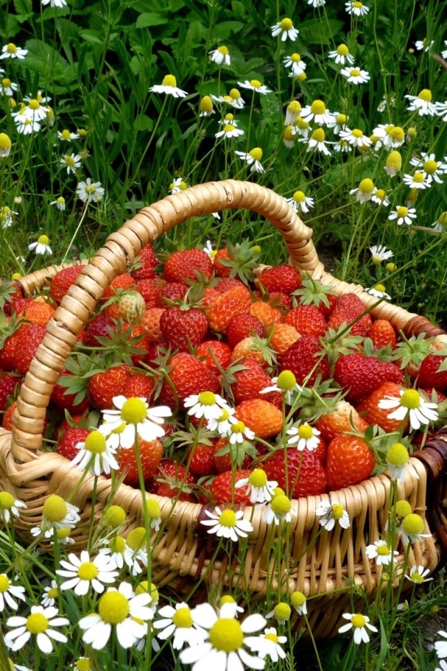 Корзинка с клубникой