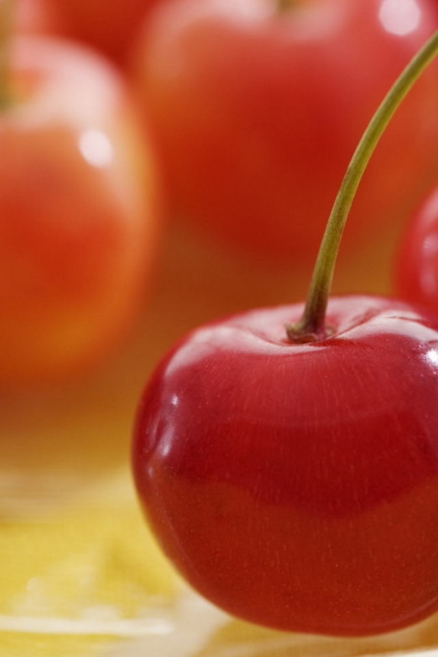 Спелая вишня