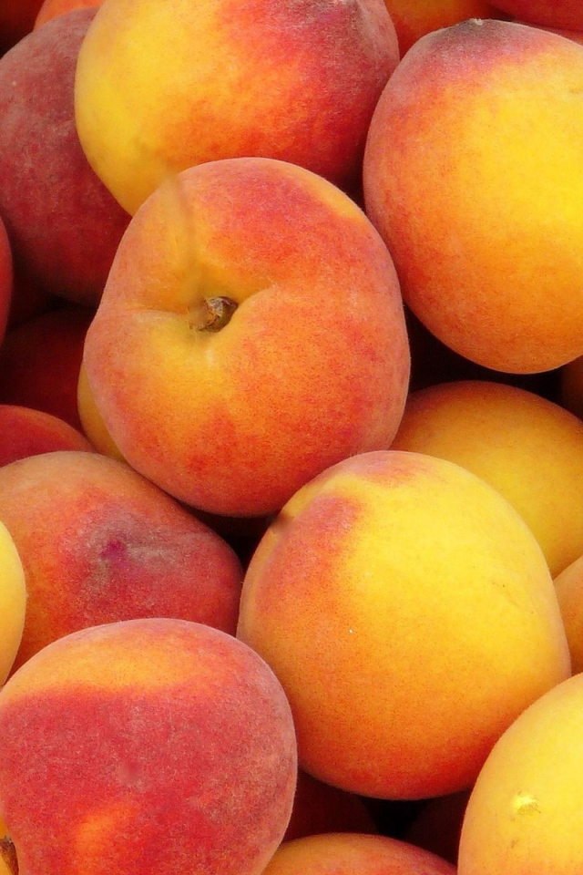 Куча персиков