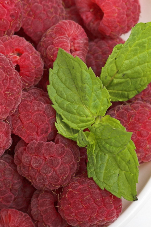 Малина с мятой