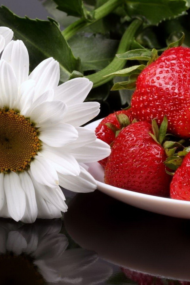Клубника и ромашки