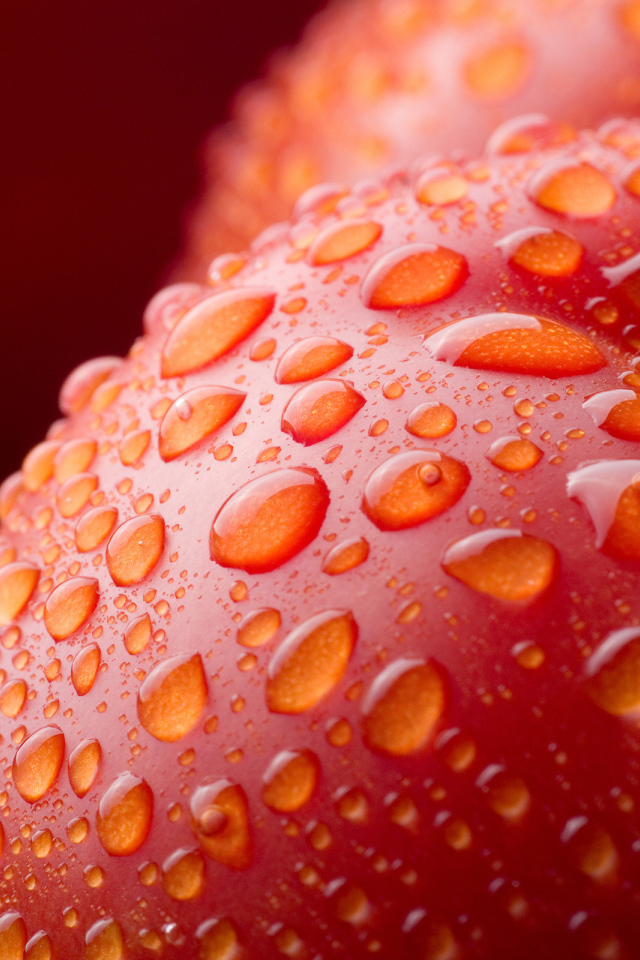 Сладкие яблочки