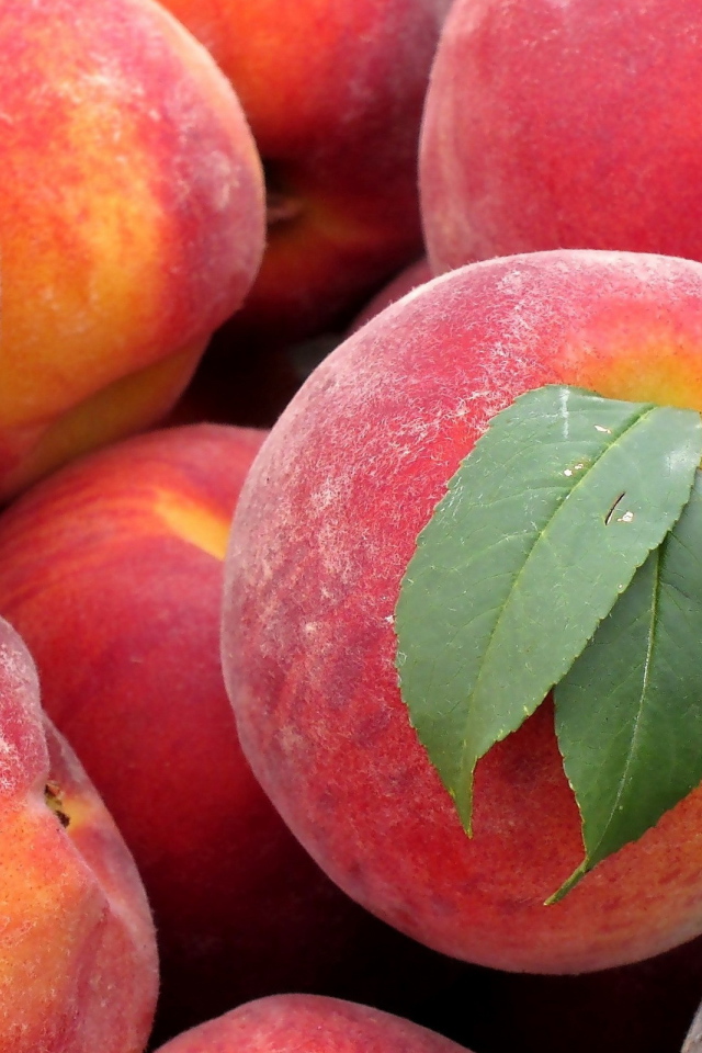 Сладкие персики