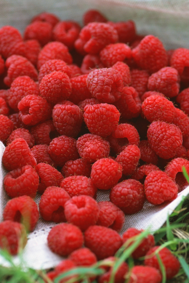 Сладкая малина