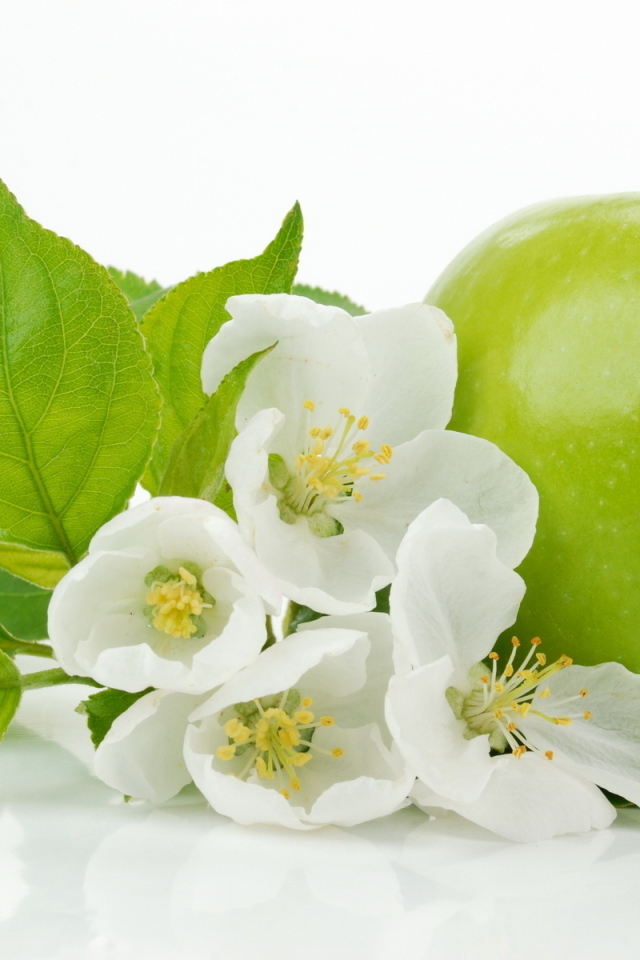 Зеленое яблоко