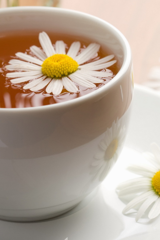 Чай из ромашки