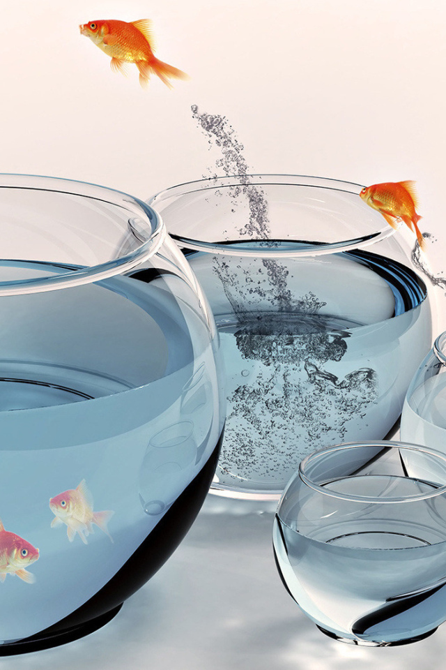 Золотые рыбки