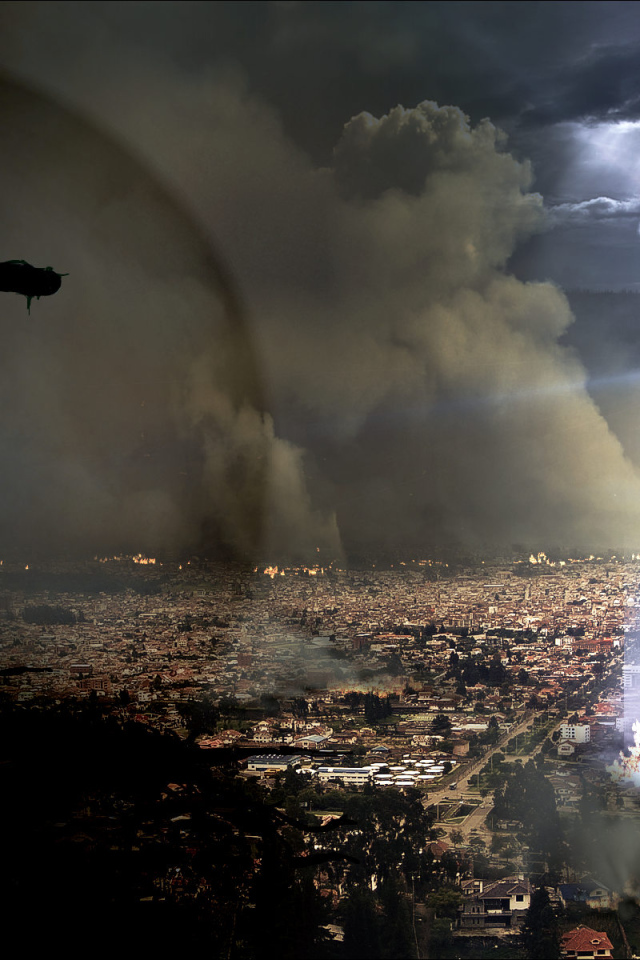 Война котов