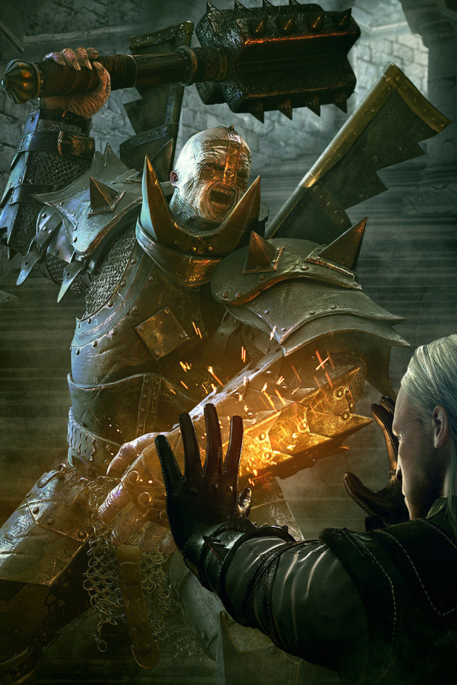 Witcher 2: Assassins of Kings