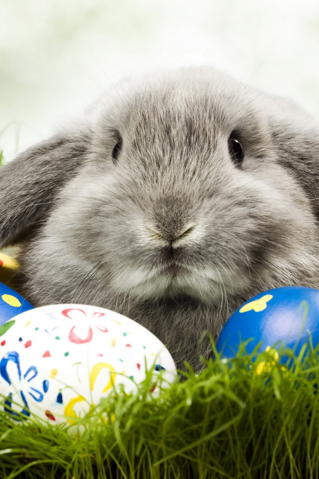 Кролик и яйца