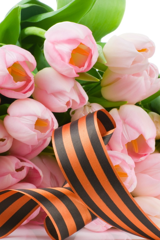 Лента и тюльпаны