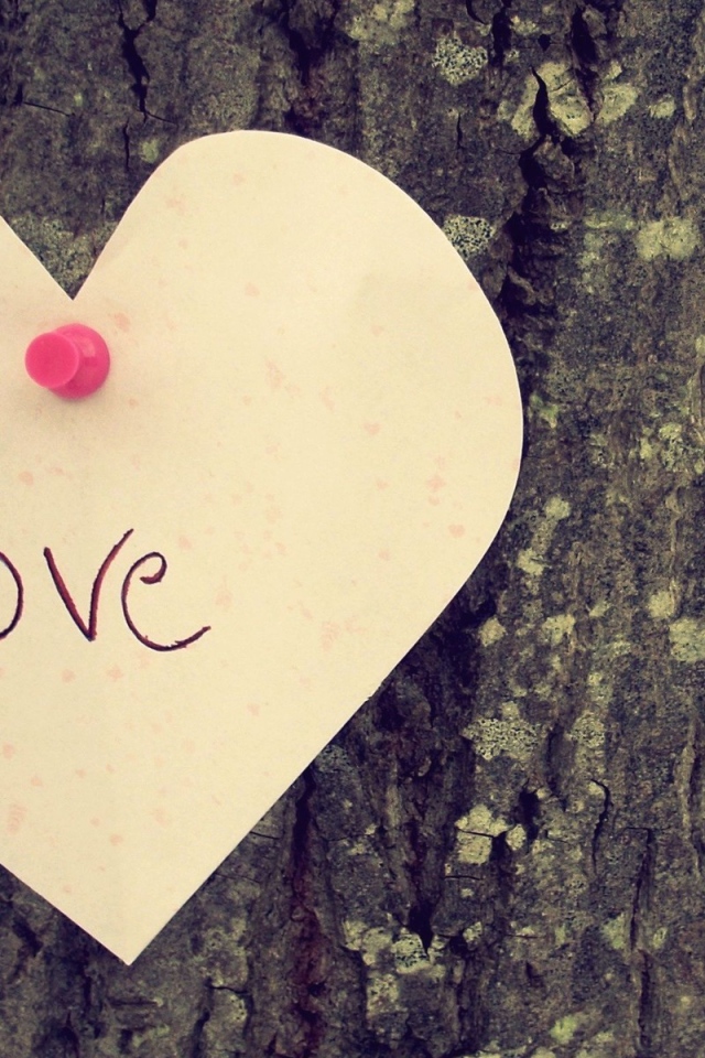 Надпись на дереве