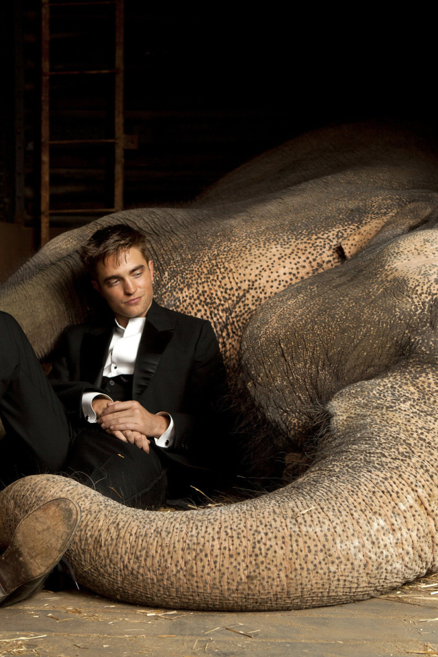 Robert Pattinson и слон