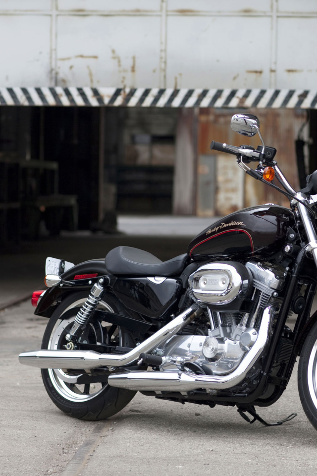 Harley Davidson XL883 SuperLow