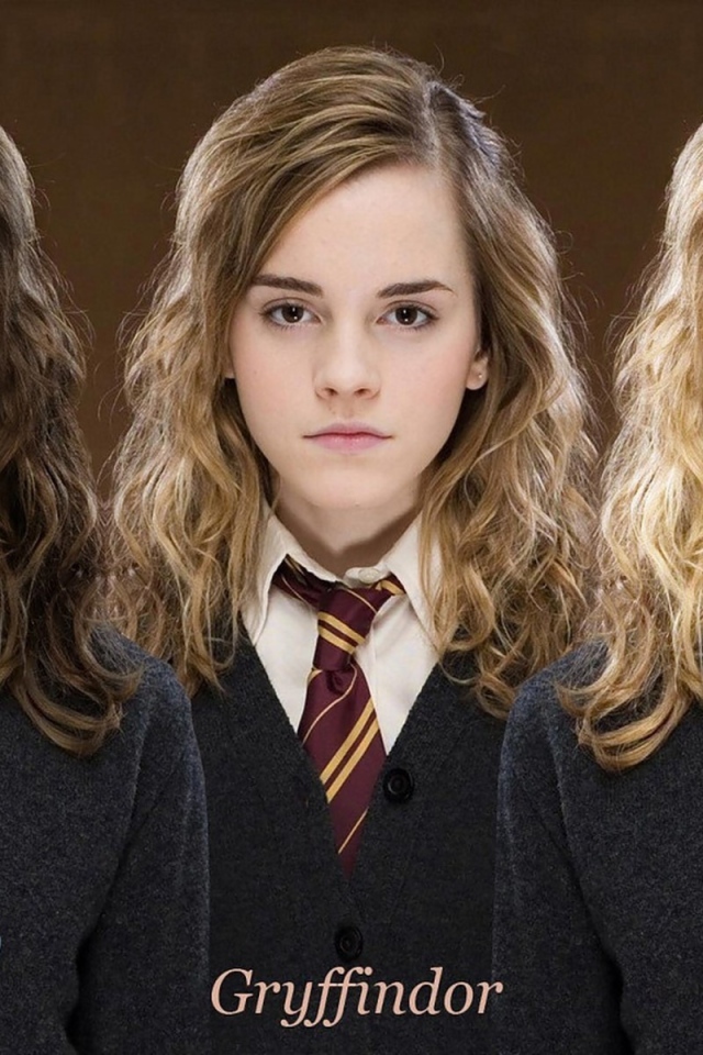 Гарри Поттер, девушки разных факультетов Хогвартс