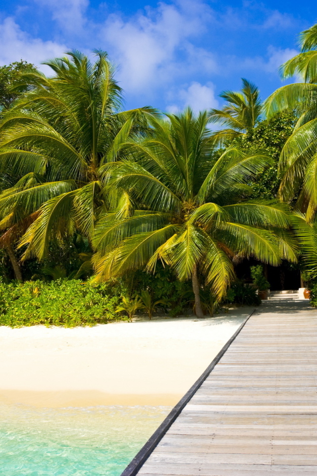 Пальмы на пляже