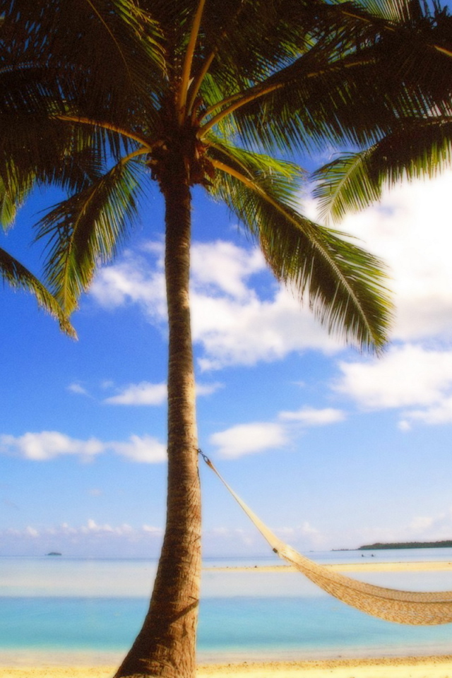 Пальмы на берегу