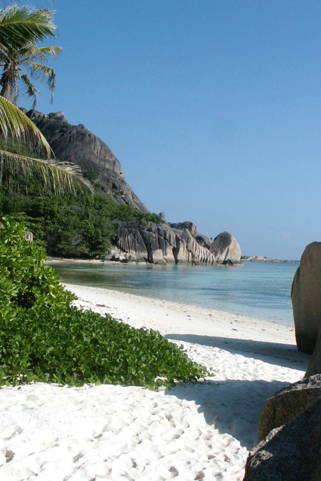 Тропический пляж