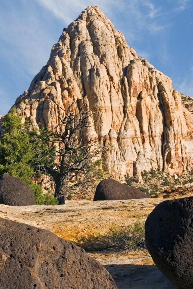 Пустынный пейзаж