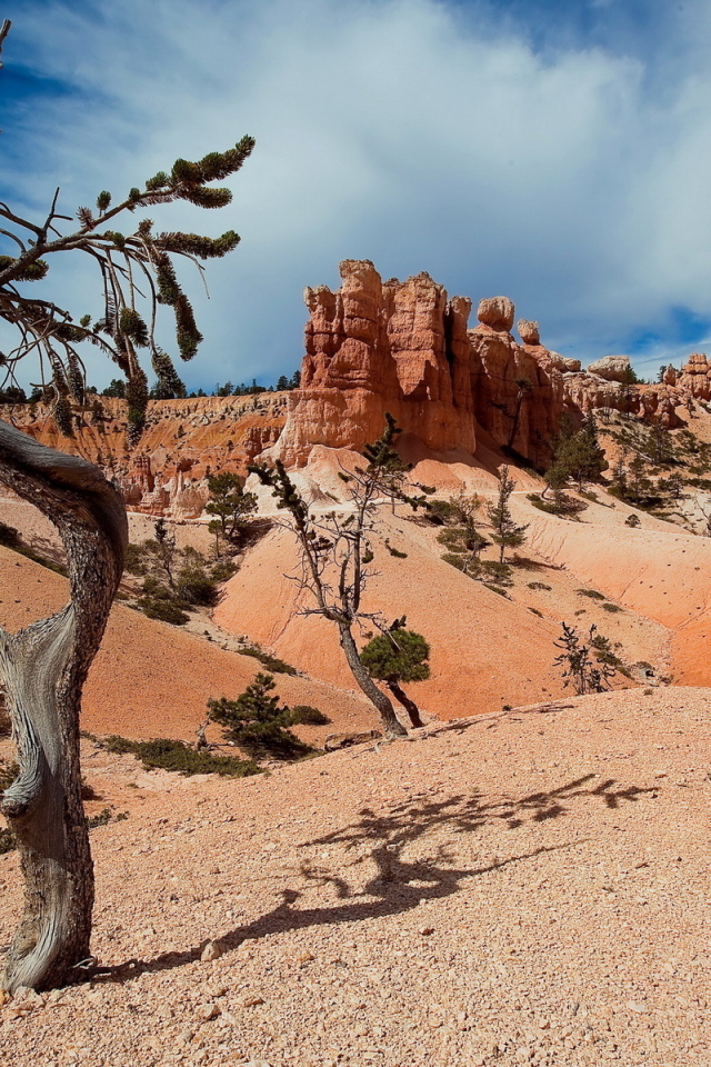 Пустынные холмы