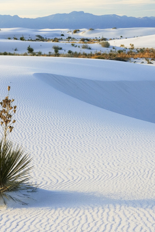 Белые пески