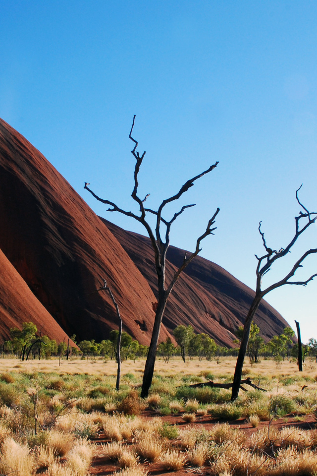 Горы пустыни