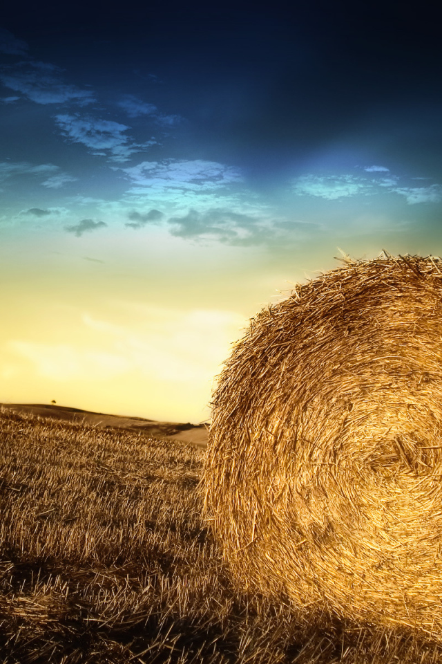 Тюки с соломой