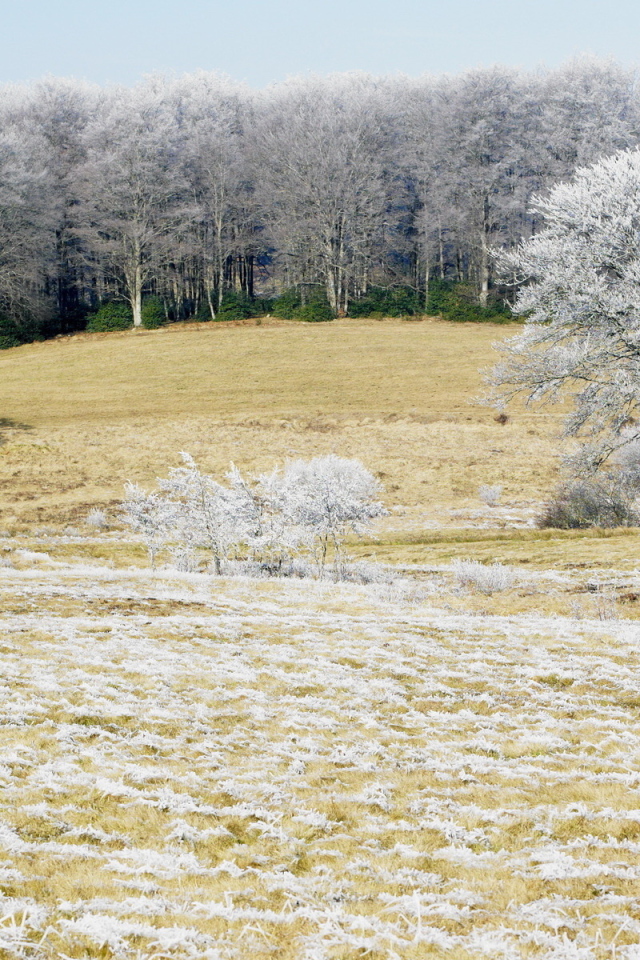 Холодным утром