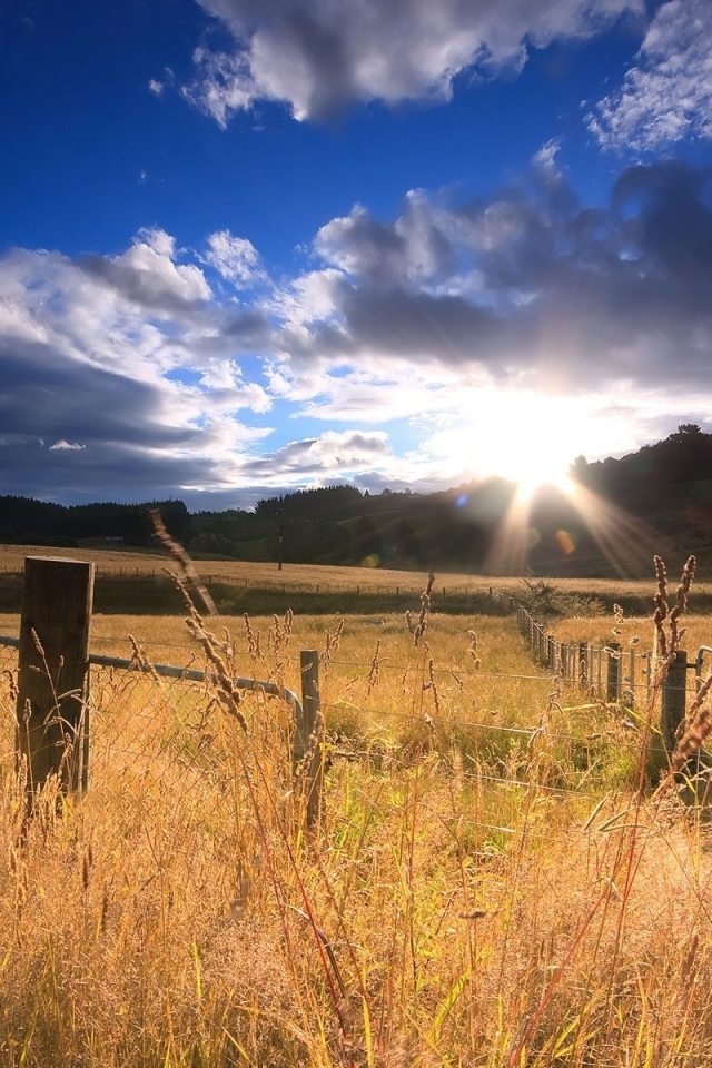 Огороженное поле