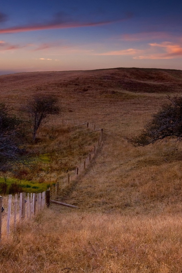 Поле и забор