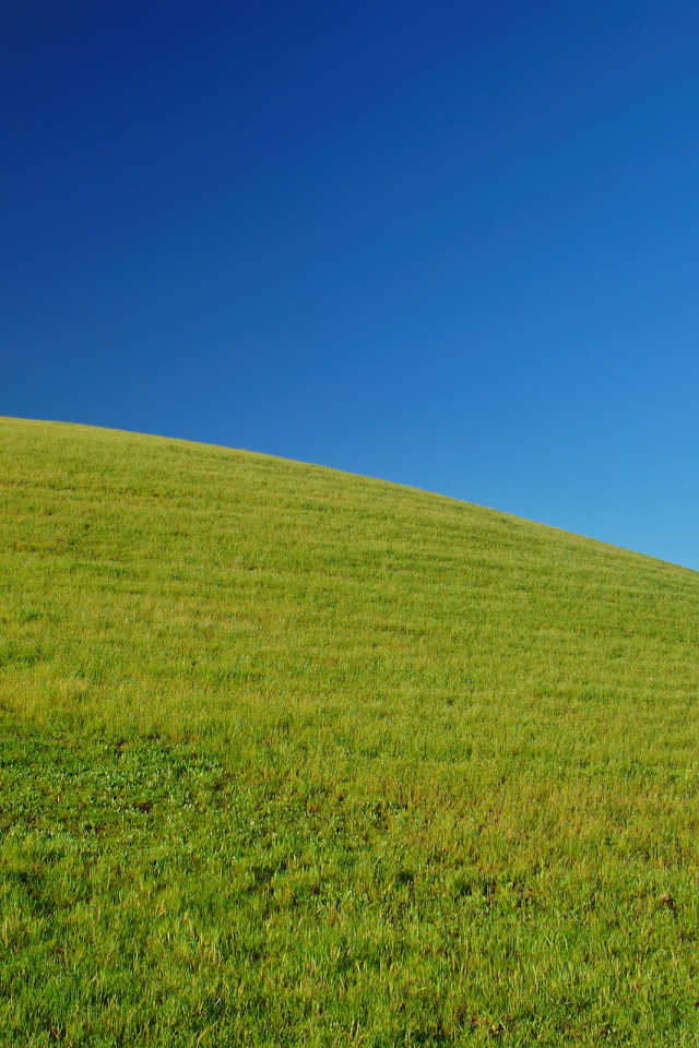 Свежая зелень