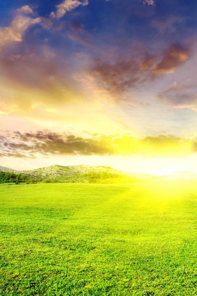 Зеленые луга