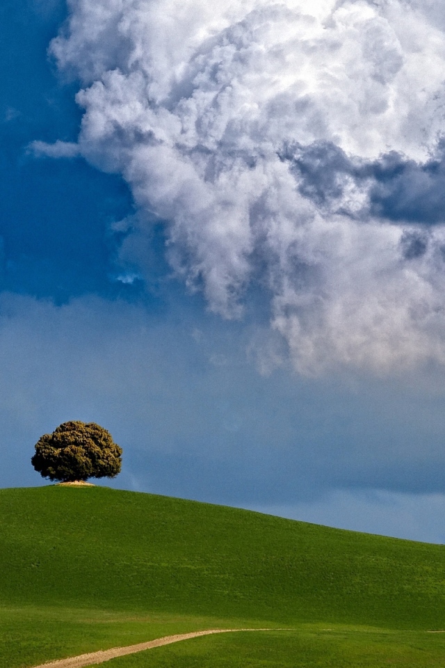 Один в поле