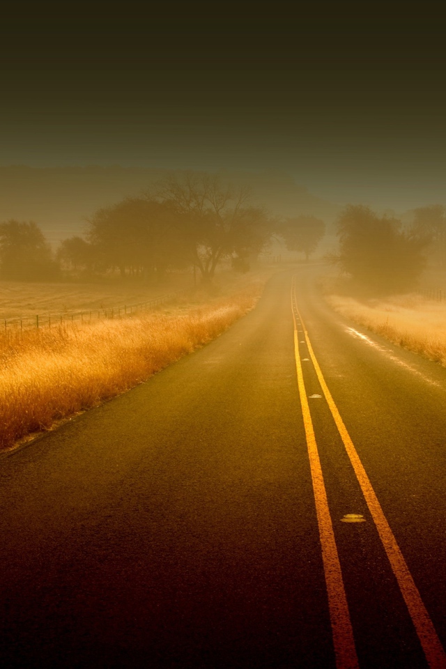 Дорога среди полей