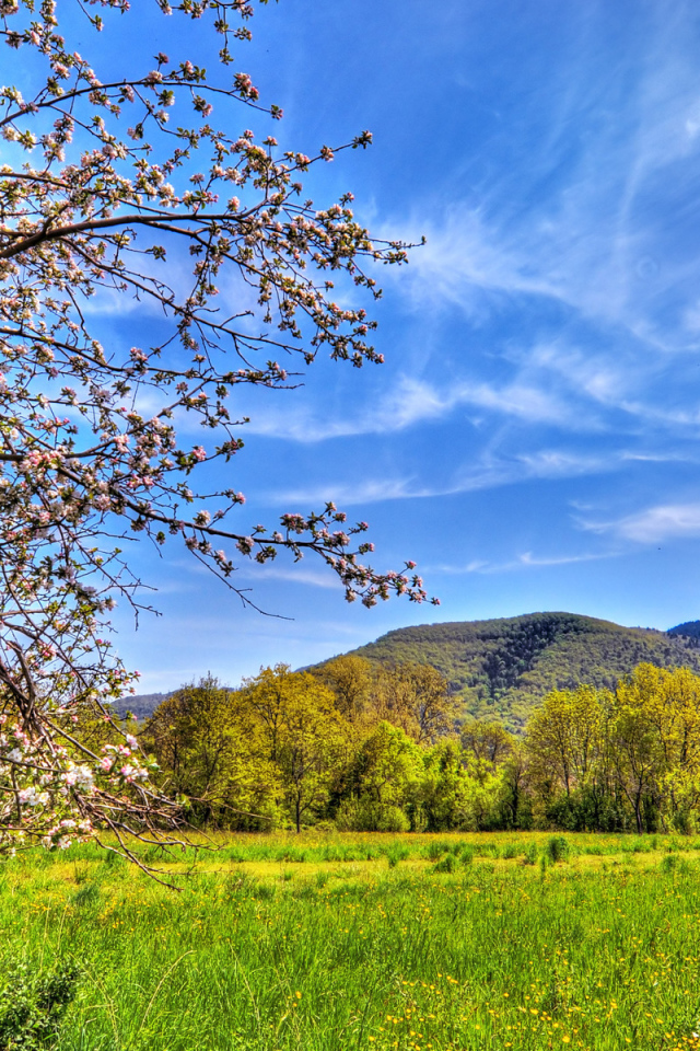 Весенний пейзаж
